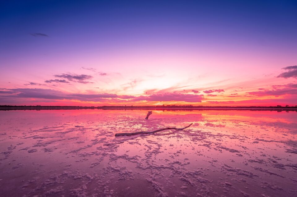 On the Shores of a Pink Lake in Australia